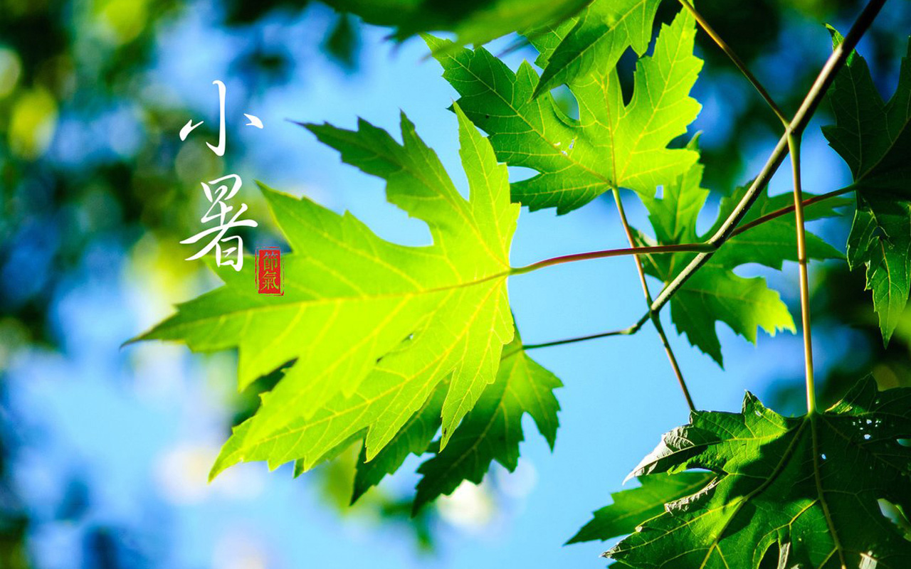小暑