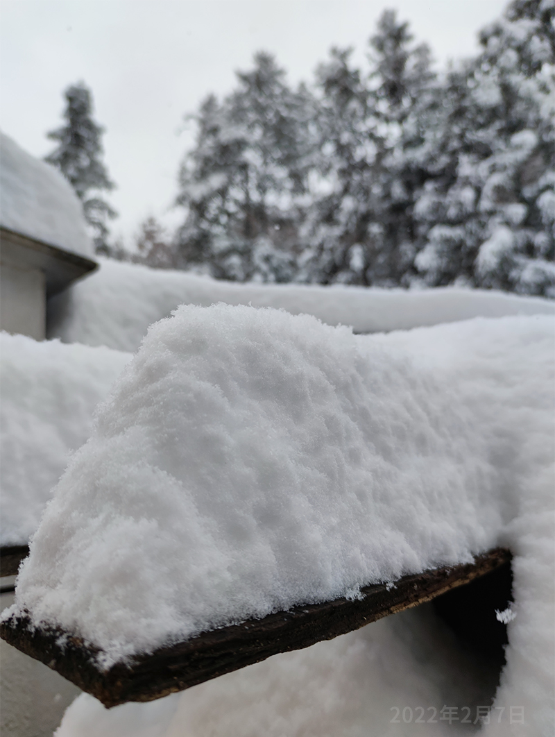 大雪